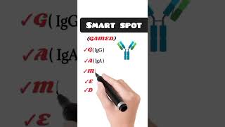 Immunoglobulin  antibodies easy way to learn [upl. by Selhorst621]