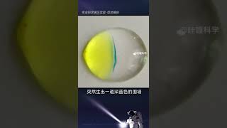 有趣的微型科学小实验，物理与化学的碰撞太美啦！科普 [upl. by Eidaj]