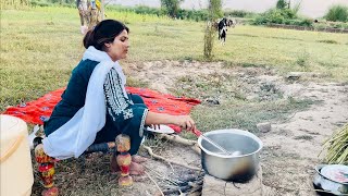 Farm Pe Aloo Chawal Banaye Farm Ka Kaam Kitna Howa [upl. by Burnsed363]