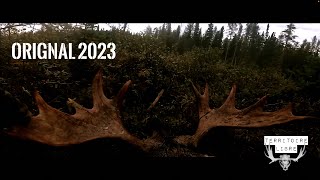 4k  Chasse à lOrignal 2023  TERRITOIRE LIBRE  Zone 28  LacStJean [upl. by Sitrik]