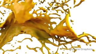 Paint Splash  Realflow [upl. by Erodoeht309]