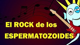 El Rock de los Espermatozoides y el Óvulo  Julinky [upl. by Maegan]