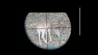 MICHIGAN Deer Hunting 2018 FREEZER IS FULL [upl. by Ikir]