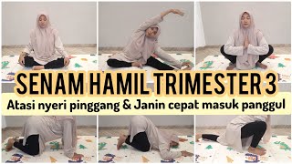 SENAM HAMIL TRIMESTER 3 AGAR JANIN CEPAT MASUK PANGGUL [upl. by Leahcimnhoj625]