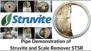 Struvite Remover Chemical and Scale Remover STSR use for Struvite Removal from Pipe Demo [upl. by Ecile]