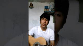 beer never Broke My heart  Luke combs music country lukecombs cover guitar [upl. by Kimbra]