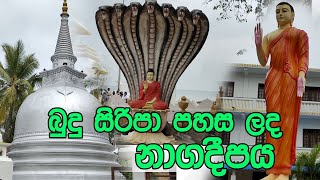 Nagadeepaya  පුරාණ නාගදීප රාජමහා විහාරය Jaffna travel  yapanaya wandanawa [upl. by Gulick]