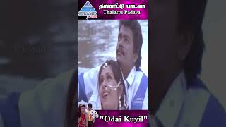 Odai Kuyil Video Song  Thalattu Padava Movie Song  Parthiban  Rupini  Khushboo  ytshorts [upl. by Ettenwad]