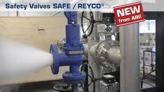 ARI Safety Relief Valves [upl. by Eelyac]