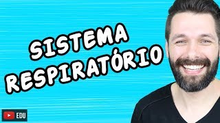 SISTEMA RESPIRATÓRIO  FISIOLOGIA  Biologia com Samuel Cunha [upl. by Thorfinn238]