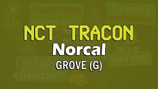 ATC RADAR NCT GROVE  Busy Controller REPRIMANDED BY UPSET PILOT [upl. by Bremser979]