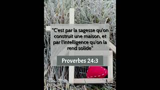 Verset Biblique Du Jour  Proverbes 243  Cest par la sagesse quune maison sélève [upl. by Ettesyl]