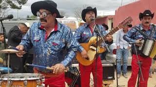 Corrido Prohibido La Vaca Lola con los Traviesos de Maz [upl. by Okimik364]