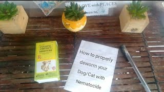 Dewormer How to USE PYRANTEL EMBONATE NEMATOCIDE PAANO iDEWORM ANG DOG and CAT for Beginners [upl. by Jacy]