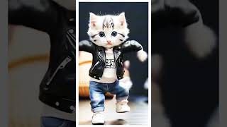 😺 Cat amazing danceshortsvideo viralanimalsdancevideo [upl. by Leugar]