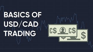 How to Trade the USDCAD Forex Pair [upl. by Ahtekal]