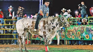 ASI TERMINO LA REBANCHA DE GALLITO DE MORELIA LE VOLVIO A QUEDAR [upl. by Einrae696]