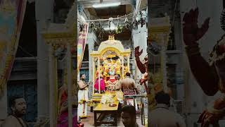 Mylapore Kapaleshwar Temple chennai travel trending sivantemple hindutemple nivismadhan [upl. by Iron]