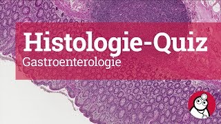 DocCheck HistologieQuiz Gastroenterologie [upl. by Naillik961]