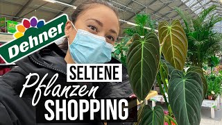 Seltene Pflanzen Shopping 🌱😱 im DEHNER  das hätte ich nie gedacht [upl. by Ahael383]