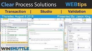 WINSHUTTLE Tutorial amp WEBtips Winshuttle Transaction Validation Tools [upl. by Steel56]