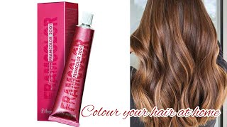 Colour Your Hair at Home with Framesi Framcolor ✌️ [upl. by Eihcra551]