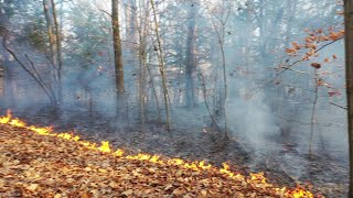 Columbiaville 4th alarm Field Fire November 9 2020 [upl. by Schulman]