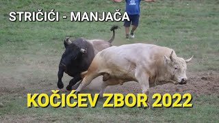 KOCICEV ZBOR 2022  MANJACA STRICICI [upl. by Einafit]