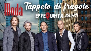 Modà  Tappeto di fragole cover Effequinta [upl. by Erreid]