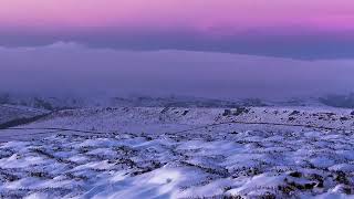 Andy burrows flying home snowman and the Snowdog [upl. by Staw]