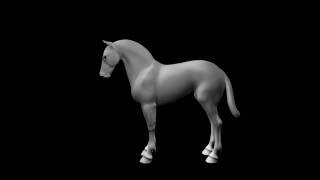 Horse Stomp 3D Animation [upl. by Ashford]