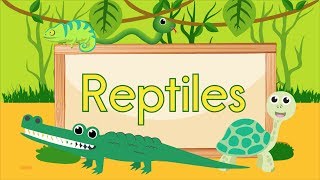 Reptile Song [upl. by Bear]