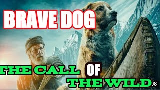 BRAVE DOG 2021 CALL OF THE WILD BEST MOVIE ADVENTURE 2021 2022 BEST MOVIE ALL TIME [upl. by Helms]