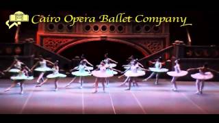 Don Quixote Ballet [upl. by Intirb]