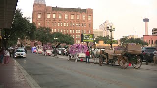 Councilwoman pulls the reins on proposal to ban horsedrawn carriages [upl. by Eustatius]