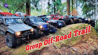 RC Car Off Road  Group Trail [upl. by Yeldua]