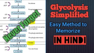 HOW TO REMEMBER GLYCOLYSIS Trick to remember Glycolysis  Glycolysis Trick [upl. by Bathulda937]