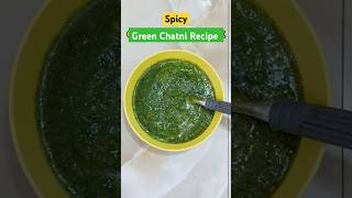 Pahadis BEST Spicy Green Chatni Recipe EXPOSED [upl. by Euqinot]