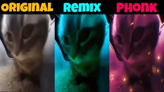 Chipi Chipi Chapa Chapa Original vs Phonk vs Remix [upl. by Gilchrist]