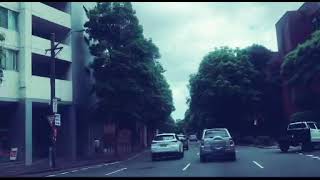 Surry Hills Cleveland St Pyrmont Anzac Bridge Crossing Sydney Roads [upl. by Browne]