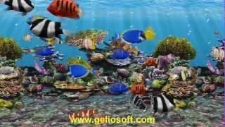 3D Fish School Screensaver Tropical Fish Swimming Free on Desktop Aquarium Windows 10 [upl. by Ynnelg]