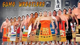 Sumo Wrestlers Weight Comparison  Most Heavy Weight Wrestlers Around the World [upl. by Consolata]