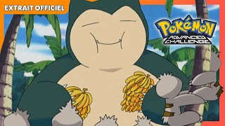 Un Polagriffe sauvage   La série  Pokémon les voyages ultimes  Extrait officiel [upl. by Carlynne551]