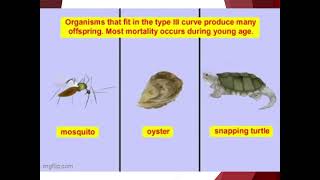 LE 136 What Are the Differences Between Type I Type II and Type III Survivorship Curves [upl. by Cordova]