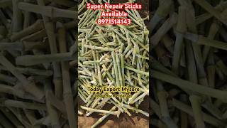 All Nepair Sticks Available For Sanatana goshala Kukanoor [upl. by Spear]