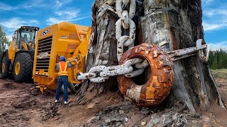 Máquinas Incríveis de Equipamento Pesado Que Você Nunca Tinha Visto Antes [upl. by Ellehcam]