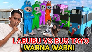 PEMBALASAN LABUBU BANGKIT JADI WARNA WARNI VS BUS TAYO WARNA WARNI  Mikael TubeHD [upl. by Idner]