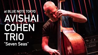 Avishai Cohen Trio  Seven Seas Live at Blue Note Tokyo  2023 [upl. by Akihsal]