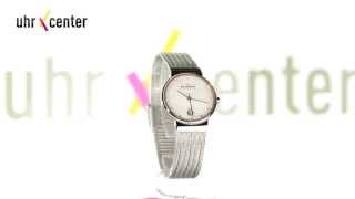 Skagen 355SSRS Quarz Damenuhr [upl. by Lonna]