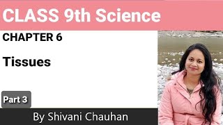 Class9th Science chapter 6 Tissues part 3 full explanation हिंदी में [upl. by Diego]